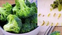 4 cara membersihkan ulat yang ada pada sayur Brokoli wajib bagi ibu ibu untuk di ketahui