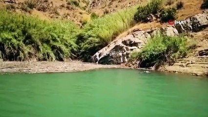 Kayıp hemşireyi arama çalışmaları 49'uncu gününde