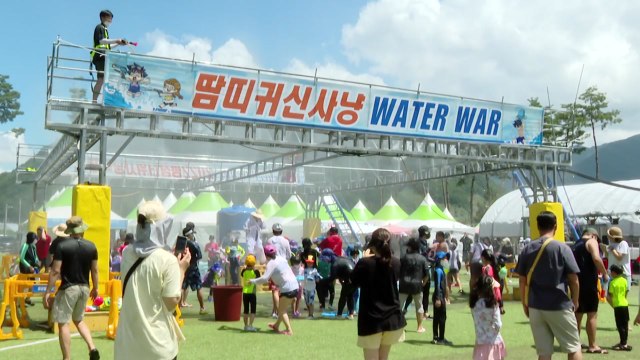 찰옥수수 맛보러 오세요! ...여름축제 본격 시작! / YTN