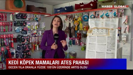 Kedi köpek mamaları ateş pahası! Hayvanseverlerden belediyelere çağrı