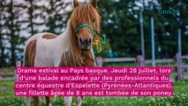 En vacances au Pays basque, une fillette de 8 ans meurt après avoir chuté d'un poney