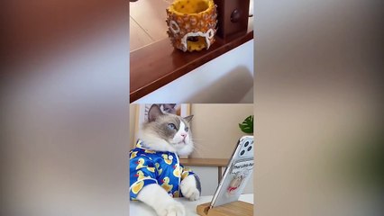 That Little Puff Tiktok Compilation  (4)