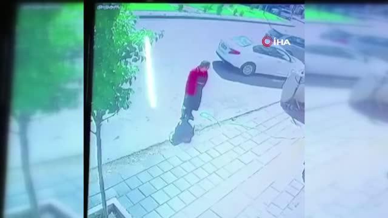 Son dakika haberleri... Ağacın altında kalmaktan son anda kurtuldu, elindeki hortumu bırakmadan kaçtı...O anlar kamerada