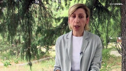 Лесные пожары: Грузия готовится к худшему