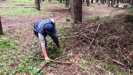 Klimawandel: Wann brennen die Wälder im Kaukasus?