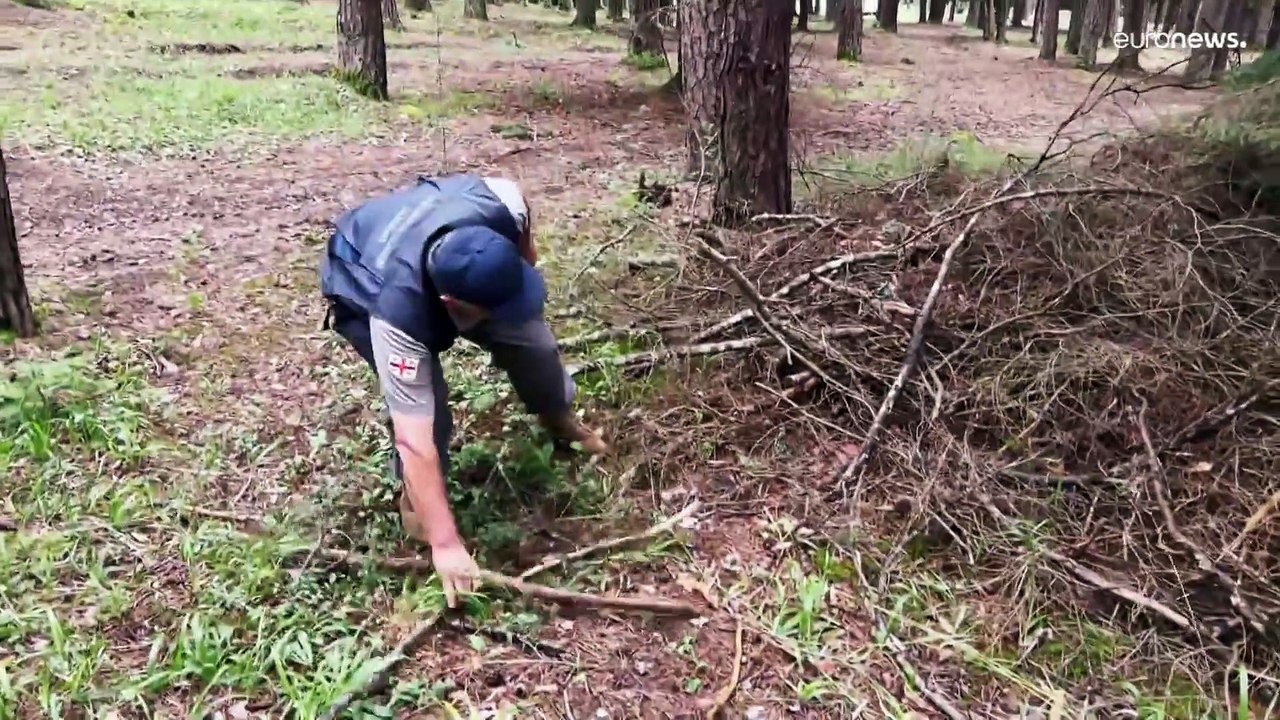 Klimawandel: Wann brennen die Wälder im Kaukasus?