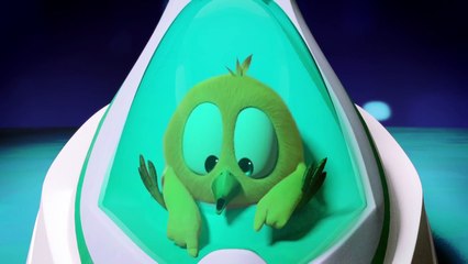 Where's Chicky Funny Chicky 2020 _ RODEO _ Chicky Cartoon in English for Kids