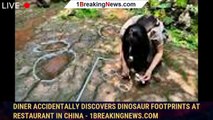 Diner accidentally discovers dinosaur footprints at restaurant in China - 1BREAKINGNEWS.COM