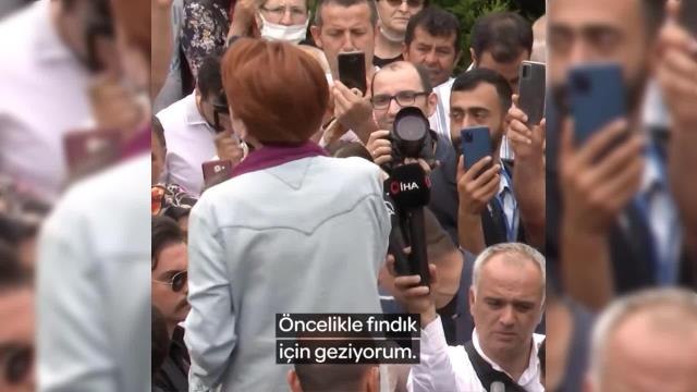 Akşener'den Cumhurbaşkanı Erdoğan'ın açıkladığı fındık alım fiyatına tepki: Sanırsınız müjde