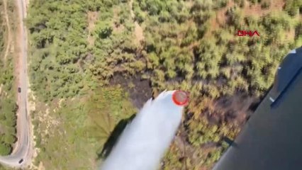 Son dakika haberi! HAVRAN'DA ORMAN YANGINI ALEVLER 1 DÖNÜM ALANA ZARAR VERDİ