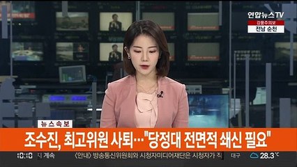 [속보] 조수진, 최고위원 사퇴…"당정대 전면적 쇄신 필요"