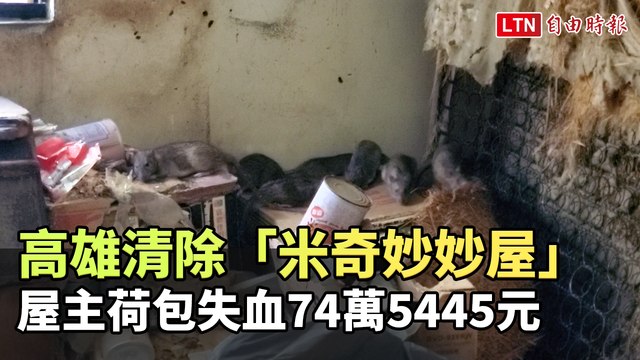 高雄清除「米奇妙妙屋」 屋主荷包失血74萬5445元