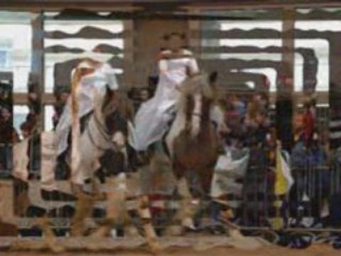 Diaporama salon du cheval Mons 2008