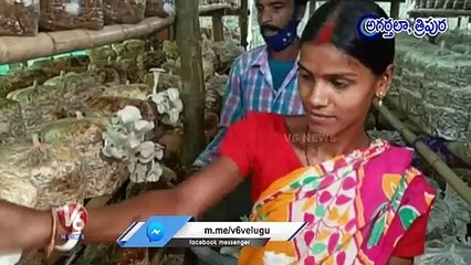 Success Story Of Mushroom Cultivation, Woman Earns Rs.40,000 Per Month _ V6 News (5)