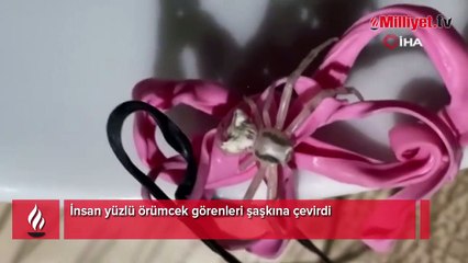 İnsan yüzlü örümcek görenleri şaşkına çevirdi