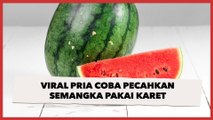 Viral Pria Coba Pecahkan Semangka Pakai karet, Hasilnya Sukses Bikin Publik Ikut Kaget