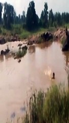 तीन से लापता व्यक्ति का मिला सुरपन नदी में शव