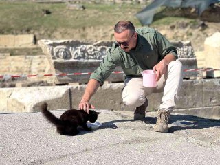 Anne kedi ve yavruları antik kentin maskotu oldu