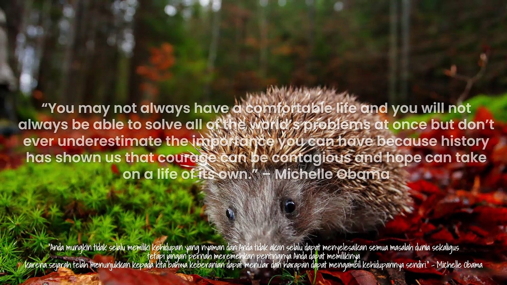 FAMOUS HOPE QUOTES