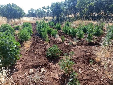 Son dakika haberleri... Diyarbakır'da Eren Abluka-28 Şehit Jandarma Uzman Çavuş Mehmet Arıyeşil operasyonu başlatıldı