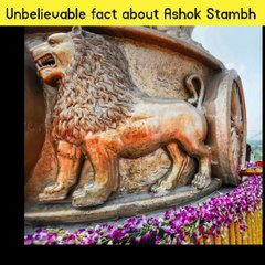 Unbelievable Fact about Ashok Stambh