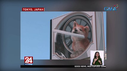 Giant 3D Dog Display, agaw-pansin sa Shibuya Crossing | 24 Oras Weekend