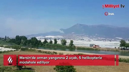 Mersin'de orman yangınına 2 uçak, 5 helikopterle müdahale ediliyor