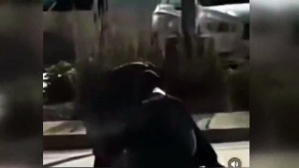 ABD'de polis şiddeti: 17 yaşındaki genci öldüresiye dövdüler