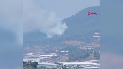 Mersin gündem haberi: MERSİN'DE ORMAN YANGINI