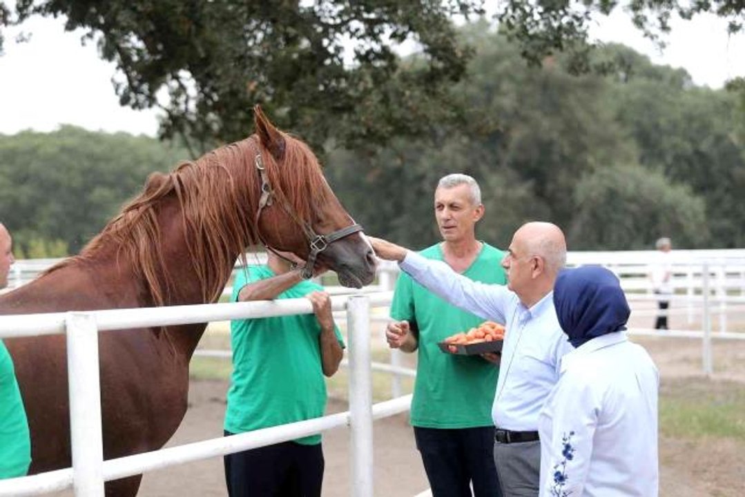 Tarım ve Orman Bakanı Vahit Kirişci: "Cumhurbaşkanımızın duruşu ile tahıl krizi sorunu çözüldü"