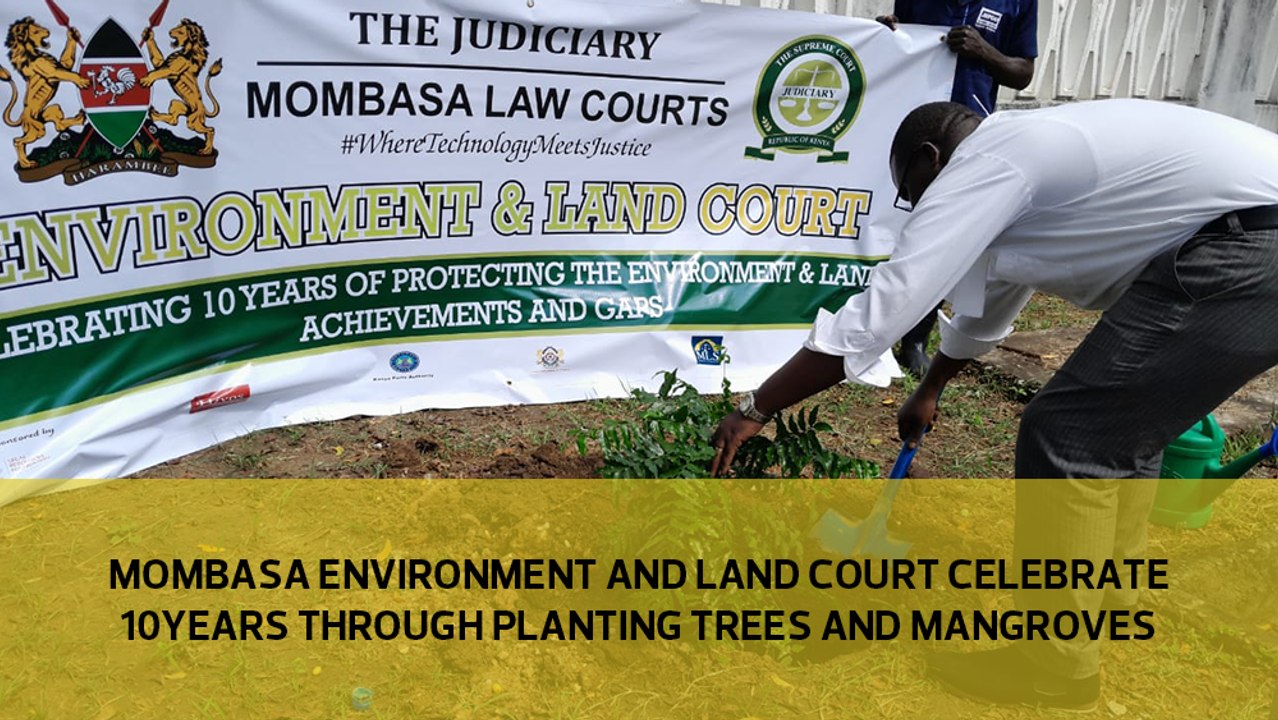 Mombasa Environment and Land Court celebrate 10 years through planting trees and mangroves