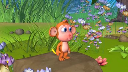 Magical Monkey Tail Story | Hindi Moral Stories for Kids | JOJO TV Kids Popular