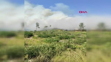 Son dakika haberleri | BURDUR'DA ORMAN YANGINI