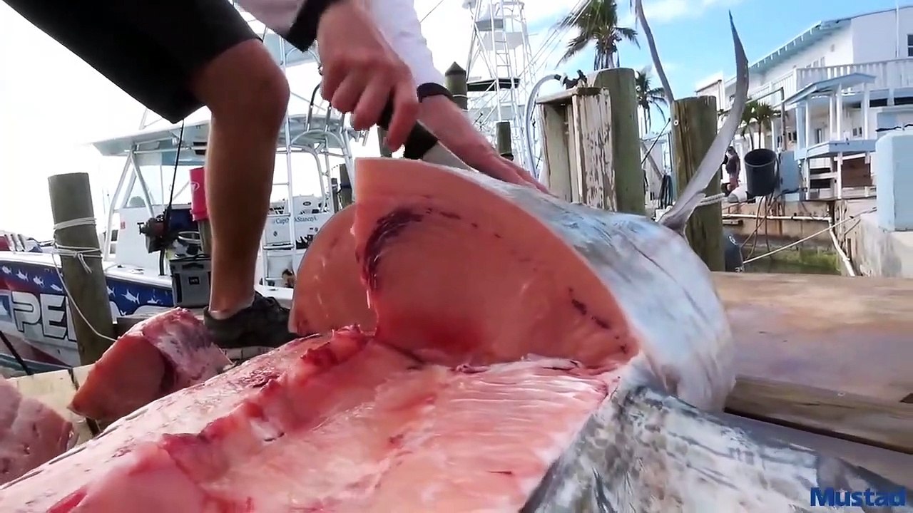 How to Fillet Sword Fish?