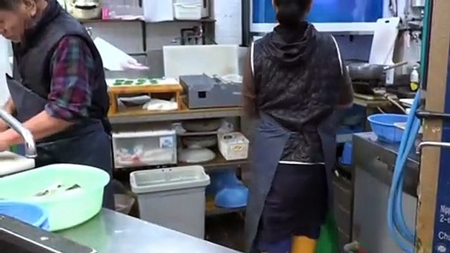 Fugu Puffer Fish Sashimi in Japan