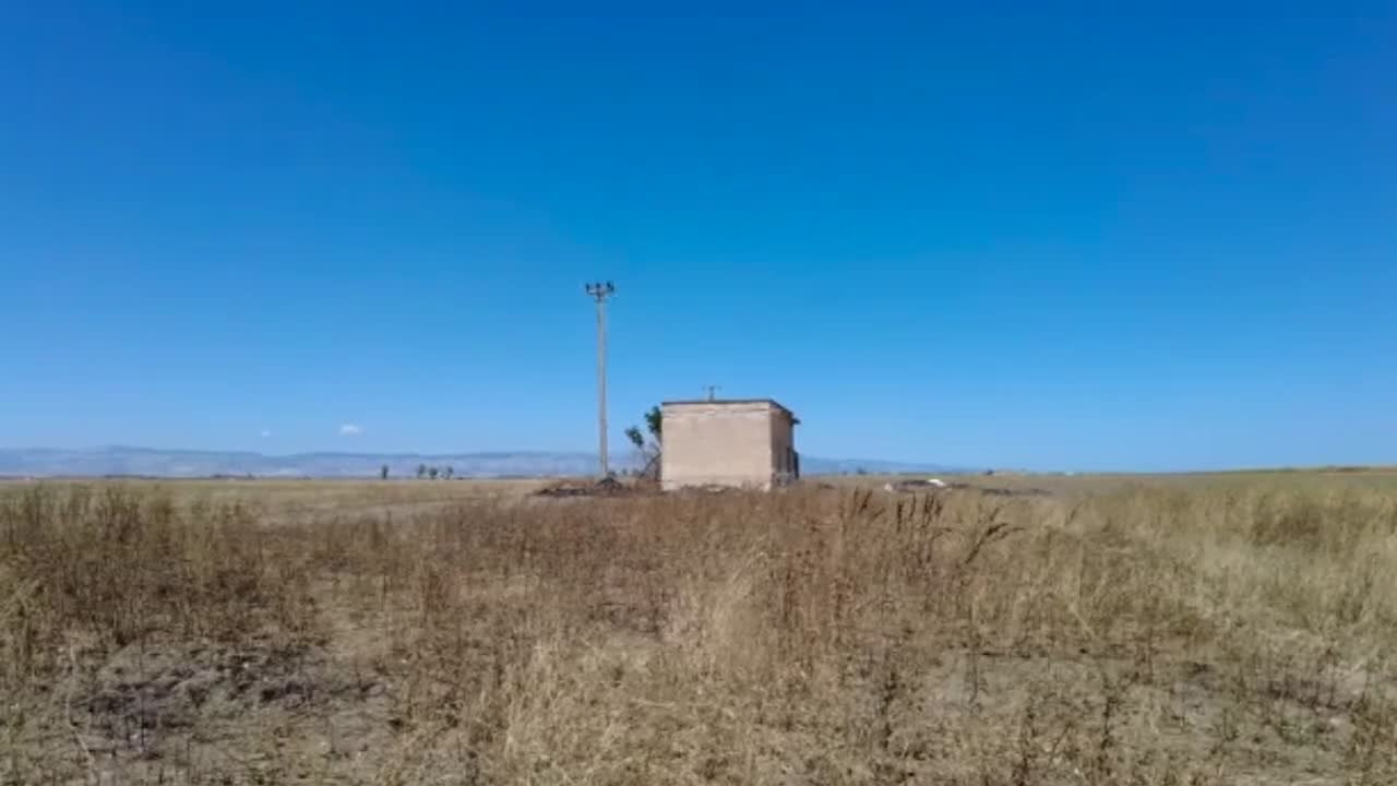 Uomini trovati morti nelle campagne del Foggiano: uccisi padre e figlio