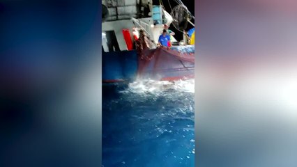 Oltre 200 quintali di ricciole nelle reti di due lampare di pescherecci liguri