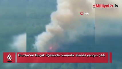 Burdur’da orman yangını