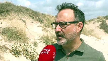 MedusApp, la aplicación de avistamiento de medusas, se automatiza haciendo uso de IA