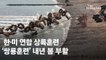 [단독]한·미 '쌍룡훈련' 5년만에 부활…北 민감한 공세적 훈련