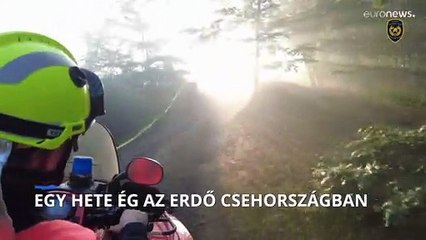 Már egy hete ég az erdő Csehországban