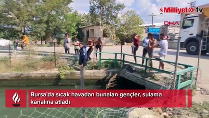 Sahibi boğuldu zannetti hemen suya atladı! Anbean kaydedildi