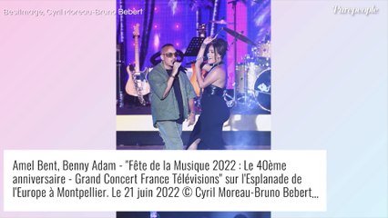 Amel Bent stylée avec ses tresses : elle fête ses 15 ans d'amitié avec un ex-candidat de télé-réalité