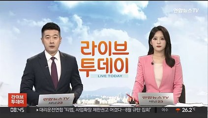튀르키예 "우크라 곡물 수출, 1일 시작 가능"