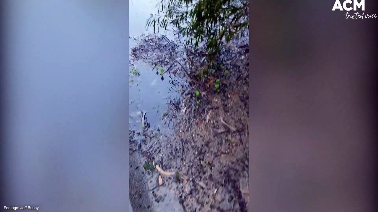 Flooding in WA's Margaret River region | August 1, 2022 | Augusta Margaret River Mail