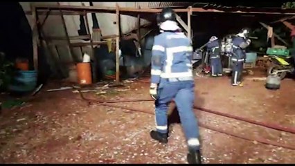 "A primeira coisa que veio na minha cabeça foi tirar o cachorro", diz vizinha que salvou animal de residência em chamas