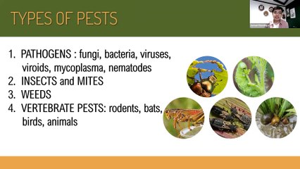 Crop Refresher: Lecture 20 - Integrated Pest Management