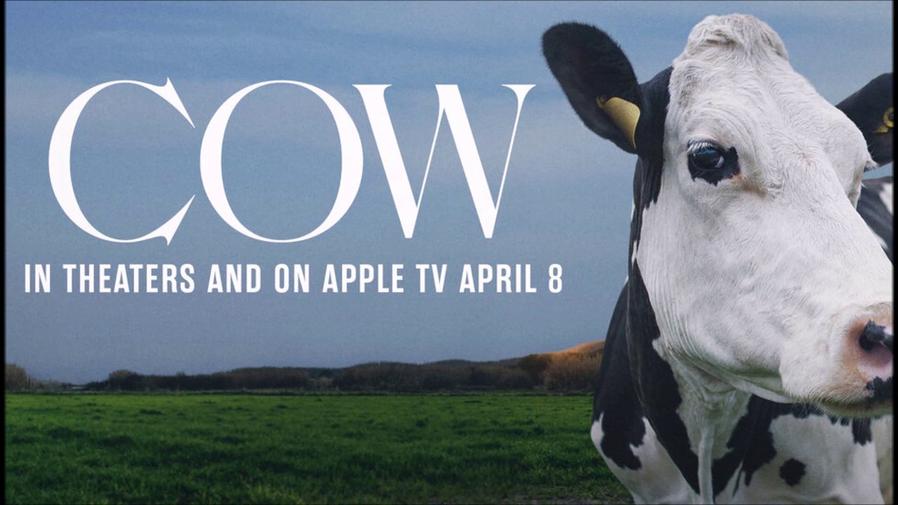 Cow - Trailer © 2022 Documentary