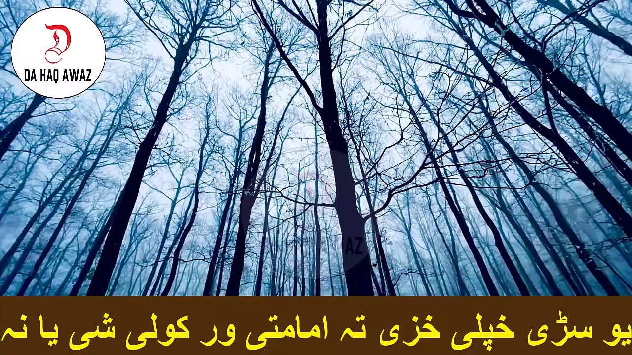 Sheikh Abu Hassan Ishaq pashto bayan | یو سڑی خپلی خزی تہ امامتی ور کولی شی یا نہ | Da Haq Awaz