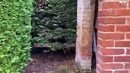 Discover all of the history at the Harper's Mansion in Berrima - Monday, August 1, 2022, Southern Highland News